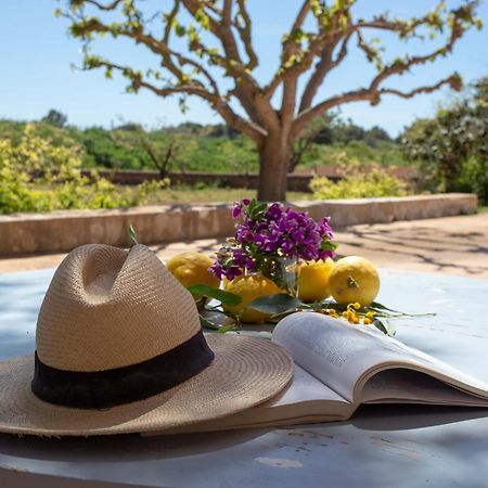 Sa Nau Agroturismo - Adults Only Over 16 ポルトコロム エクステリア 写真