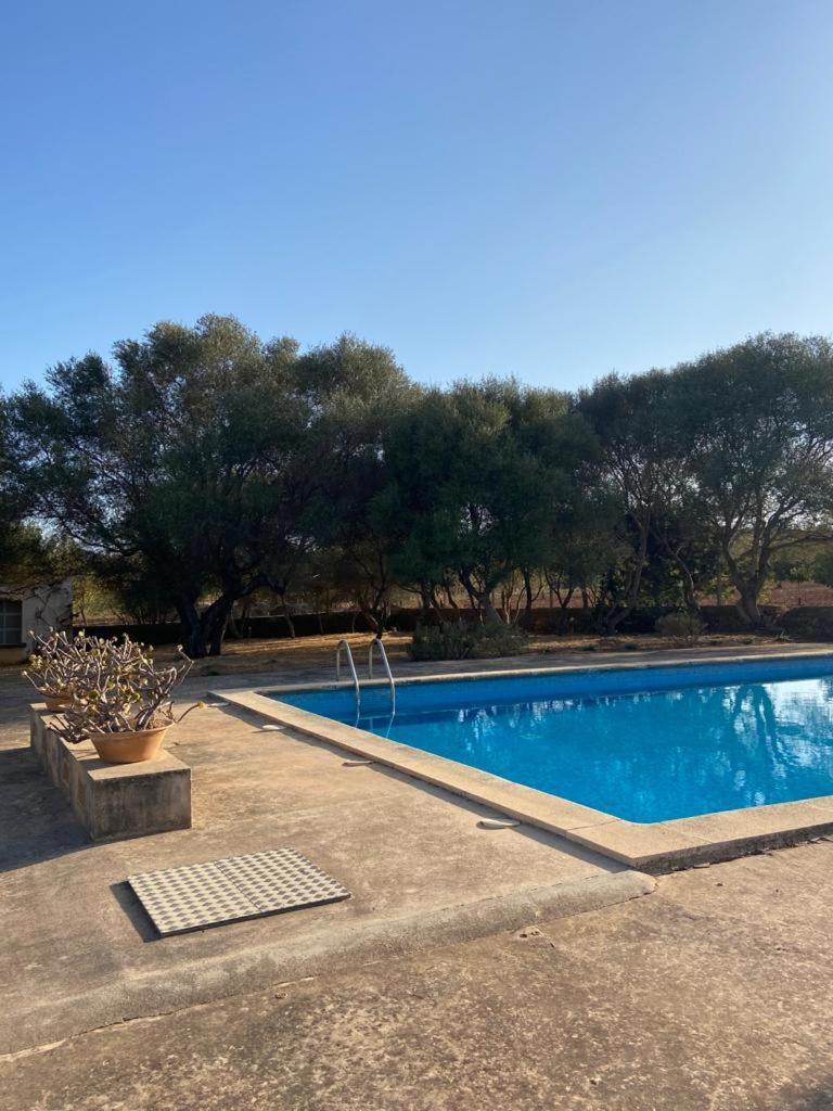 Sa Nau Agroturismo - Adults Only Over 16 ポルトコロム エクステリア 写真
